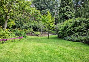 Optimiser l'expérience du jardin à La Chapelle-Naude